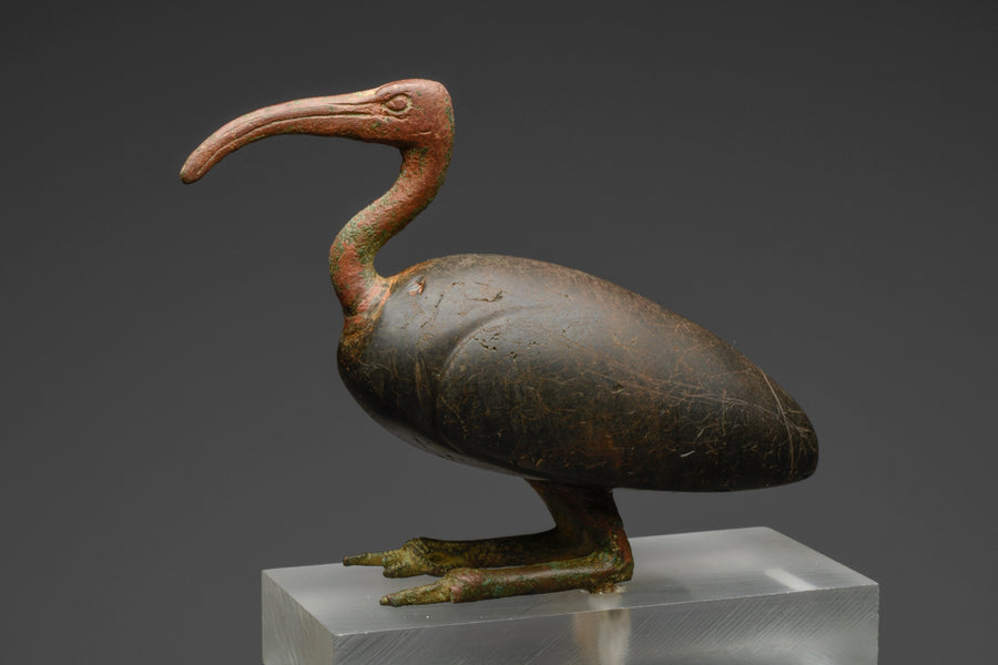 Collecting Egyptian Bronzes