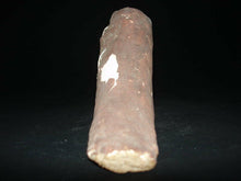 Ancient Egyptian Polychrome Painted Wood Falcon Horus