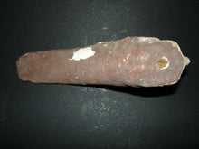 Ancient Egyptian Polychrome Painted Wood Falcon Horus