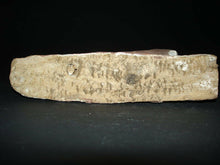 Ancient Egyptian Polychrome Painted Wood Falcon Horus