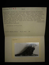 Ancient Egyptian Polychrome Painted Wood Falcon Horus