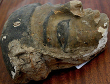 Ancient Egyptian Mummy Mask Ex. Charterhouse