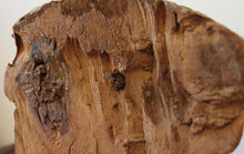 Ancient Egyptian Mummy Mask Ex. Charterhouse