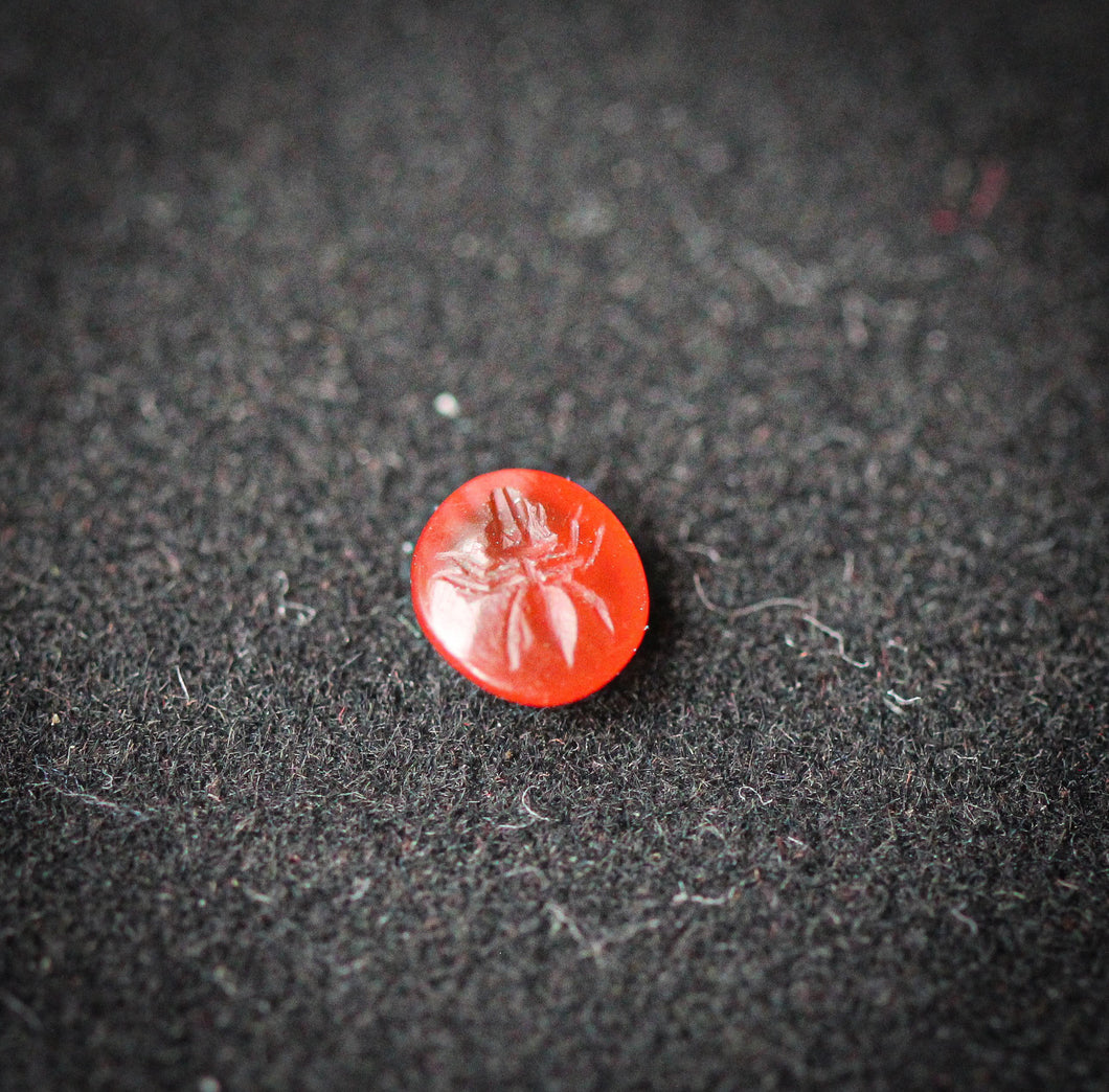Ancient Roman Carnelian Intaglio with an Ant