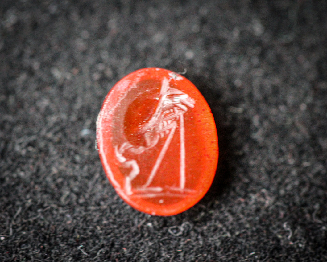 Ancient Roman Carnelian Intaglio with an Ibis