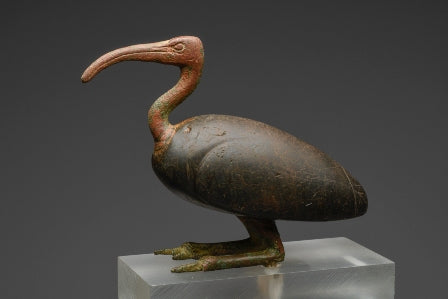 An Ancient Egyptian Bronze Ibis in Glass