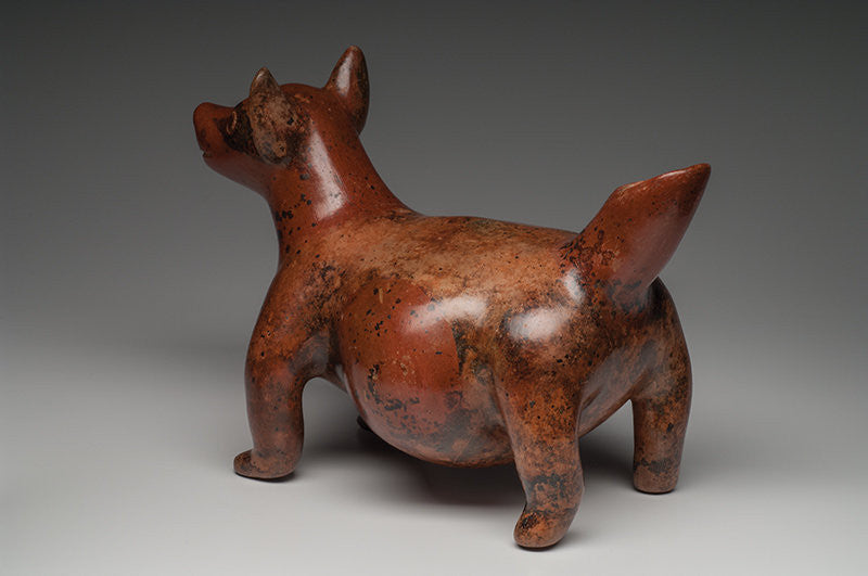 Ancient Colima Ancient Colima Redware Pottery Dog @ancientartifact – Galleria ...