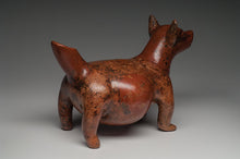 Ancient Colima Redware Dog - Pre-columbian Art
