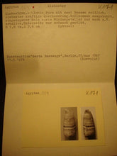 Alabaster, Ancient Egyptian Alabastron, circa 2700 BC