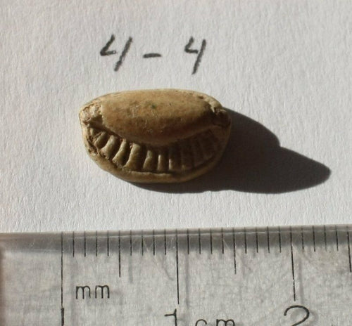 Ancient Egyptian Steatite Cowroid with Khepri Ex. Gustav Jequier (1868-1946)