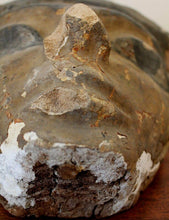 Ancient Egyptian Mummy Mask Ex. Charterhouse 古代埃及木乃伊面具