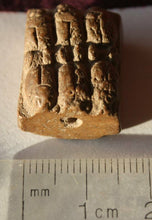 A RARE Ancient Egyptian Six or Nine Scarab Amulet